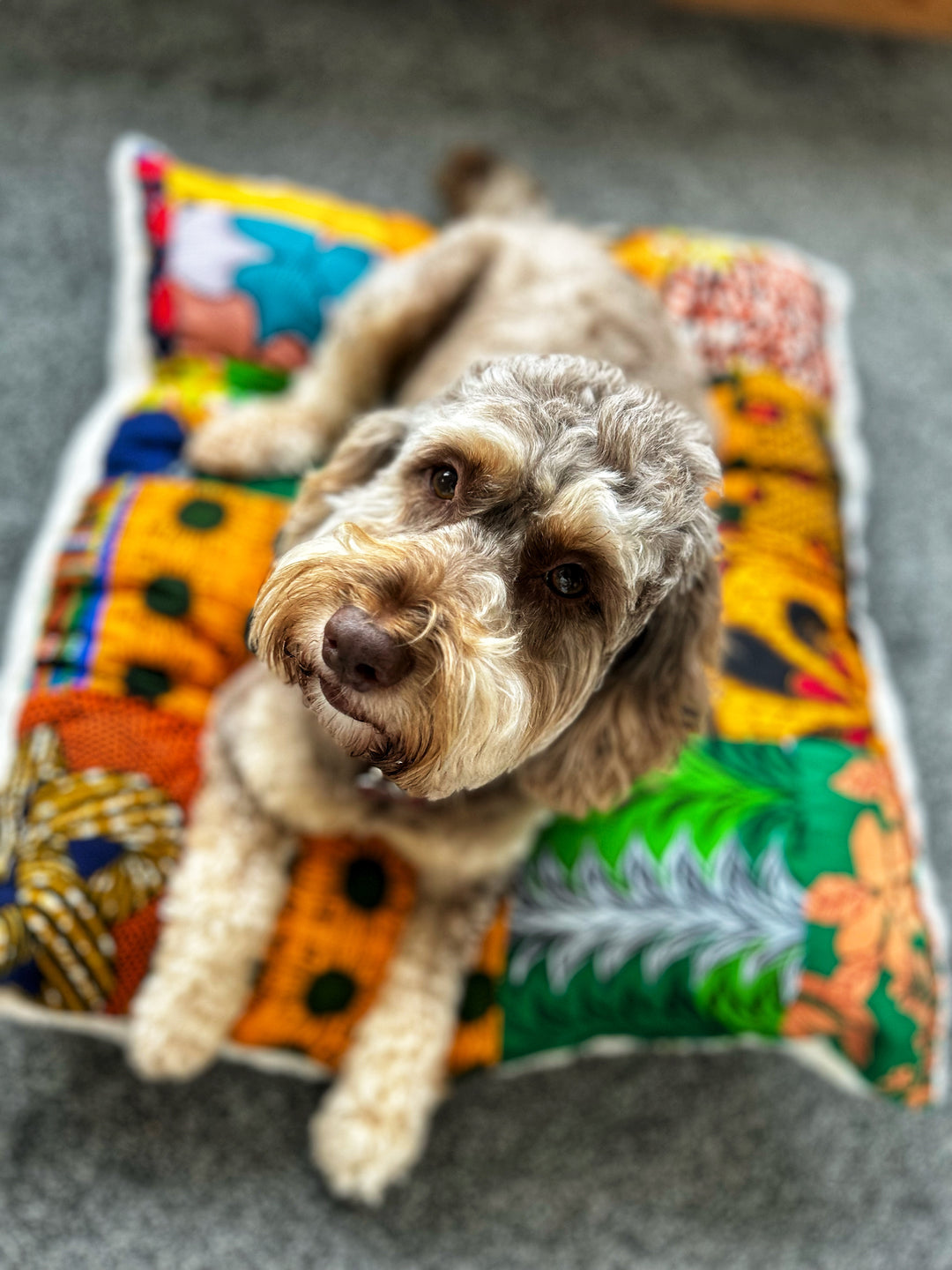 Patchwork Pet Cushion | Bed